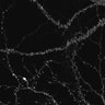 Thumbnail for dataset fig2D_PSD95