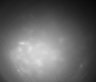 487-Tasaka-SMTmodulation/Fig3_Tnnt1_Ai162_SMT_F3_210930_AP2 thumbnail