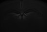 487-Tasaka-SMTmodulation/Fig3_Tnnt1_Ai162_SMT_F6_211126_AP2 thumbnail