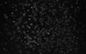 487-Tasaka-SMTmodulation/Fig4_Tnnt1_Ai162_MD_F5_220601_AP1 thumbnail