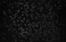 487-Tasaka-SMTmodulation/Fig4_Tnnt1_Ai162_MD_F10_220608_AP1 thumbnail