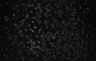 487-Tasaka-SMTmodulation/Fig4_Tnnt1_Ai162_MD_F12_220608_AP1 thumbnail