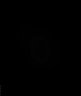 484-Inagaki-SeeDBLive/Fig3f_duringSDL thumbnail