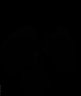 473-Louder-ZebraFinch/FigS4B_Nidopallium_Horizontal_YFP thumbnail