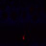 289-Fujimoto-MitralCell/Fig1G_P10_ctrl thumbnail