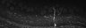 289-Fujimoto-MitralCell/Fig1HI_P14_ctrl_2 thumbnail