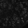 289-Fujimoto-MitralCell/Fig3B_P2_MitTuf_cal thumbnail