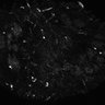 289-Fujimoto-MitralCell/Fig3E_MitTuf_cal_AP5CNQX_3 thumbnail