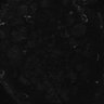 289-Fujimoto-MitralCell/Fig3F_MitTuf_cal_CBX_2 thumbnail