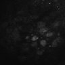 289-Fujimoto-MitralCell/Fig4B_MitTuf_cal_ctrl_6 thumbnail