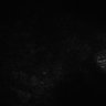 289-Fujimoto-MitralCell/Fig4B_MitTuf_cal_ctrl_10 thumbnail