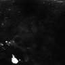 289-Fujimoto-MitralCell/Fig4B_MitTuf_cal_TeNT_8 thumbnail