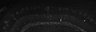 289-Fujimoto-MitralCell/Fig4G_P6_ctrl_2 thumbnail