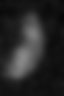 Thumbnail for dataset ct_Mmu_PSM