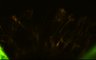289-Fujimoto-MitralCell/Fig5ABC_DORA-RhoA_NMDA_11 thumbnail