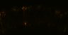 289-Fujimoto-MitralCell/Fig5G_DORA-RhoA_NMDA10uM_1 thumbnail