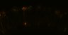 289-Fujimoto-MitralCell/Fig5G_DORA-RhoA_NMDA20uM_1 thumbnail