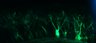 289-Fujimoto-MitralCell/Fig5G_DORA-RhoA_NMDA40uM_5 thumbnail