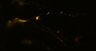 289-Fujimoto-MitralCell/Fig6_Tuft-NonTuft_5 thumbnail