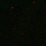289-Fujimoto-MitralCell/Fig7_BarrelCortex_RhoABC-KO_1 thumbnail