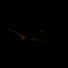 289-Fujimoto-MitralCell/FigS1I_GluSynapse_KirOver thumbnail