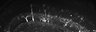 289-Fujimoto-MitralCell/FigS2B_P6_ctrl_2 thumbnail