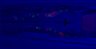 Thumbnail for dataset 140911_DiR_x1_worm1