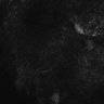 289-Fujimoto-MitralCell/FigS2E_Odor_OSN-TeNT_6 thumbnail