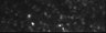 Thumbnail for dataset Fig1C_1