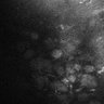 289-Fujimoto-MitralCell/FigS2J_P5_MT_GCaMP3 thumbnail