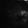 289-Fujimoto-MitralCell/FigS3C_P4_20151106 thumbnail