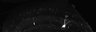 289-Fujimoto-MitralCell/FigS5H_NKCC_KO_650 thumbnail