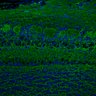 289-Fujimoto-MitralCell/FigS6A_ctrl thumbnail