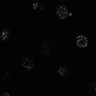 Thumbnail for dataset Fig9a_AfConv_3D