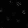 Thumbnail for dataset Fig9a_BfConv_3D