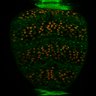 Thumbnail for dataset Fig2C_LEC_ERKsignal_temp_ctrl