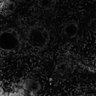 Thumbnail for dataset Fig1_12cm_DAF_brightZ
