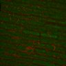 Thumbnail for dataset Fig6_Edensa_auto