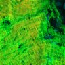 Thumbnail for dataset Fig6a_5cm_8cm_DARDAF