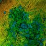 Thumbnail for dataset Fig6d_8cm_10cm_DARDAF