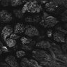 Thumbnail for dataset Fig1D_anterior1_300_3