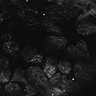 Thumbnail for dataset Fig1D_anterior2_100_1