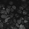 Thumbnail for dataset Fig1D_posterior1_100_1