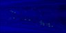 Thumbnail for dataset 140911_DiR_x9_worm1