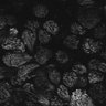 Thumbnail for dataset Fig1D_posterior1_100_3