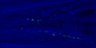Thumbnail for dataset 140911_DiR_x9_worm2
