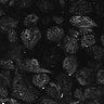 Thumbnail for dataset Fig1D_posterior2_100_1