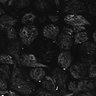Thumbnail for dataset Fig1D_posterior2_100_3