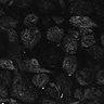 Thumbnail for dataset Fig1D_posterior2_300_4