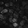 Thumbnail for dataset Fig1D_posterior3_300_3